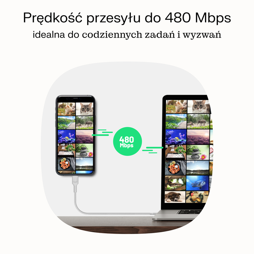 USB-C kabel 0.3m 100W Greencell PowerStream Fast Charging PD Panther Black (KABGC100PS30PB)